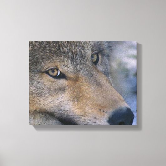 Gray Wolf Lovers Canvas Afdruk (Voorkant)