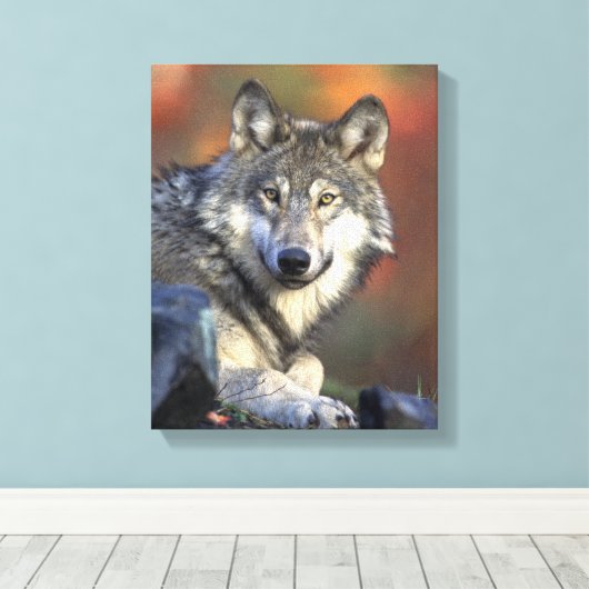 Gray Wolf Lovers Canvas Afdruk (Insitu (Houten vloer))