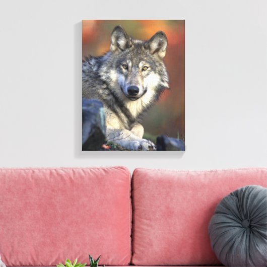 Gray Wolf Lovers Canvas Afdruk (Insitu (Woonkamer))