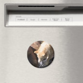 Gray Wolf Magneet (Insitu (Vaatwasser))