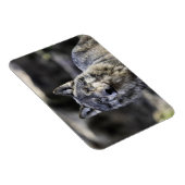 Gray Wolf Magneet (Rechterzijde)