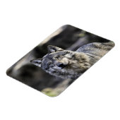 Gray Wolf Magneet (Linkerzijde)