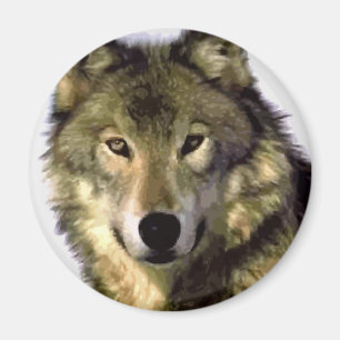 Gray Wolf Magneet