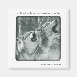 Gray Wolf Magnet
