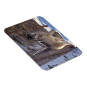 Gray Wolf Magnet Magneet (Rechterzijde)