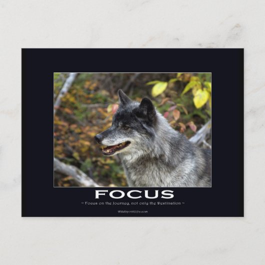 Gray Wolf Motivatie Gifts Briefkaart (Voorkant)