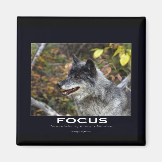 Gray Wolf Motivatie Gifts Magneet (Voorkant)