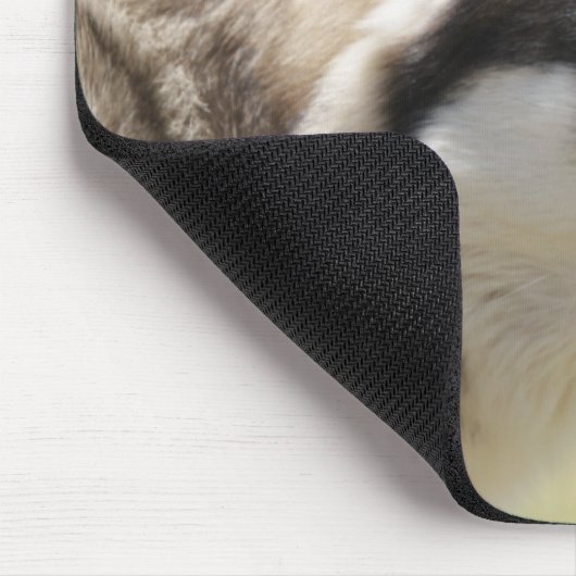 Gray Wolf Mousepad Muismat (Hoek)