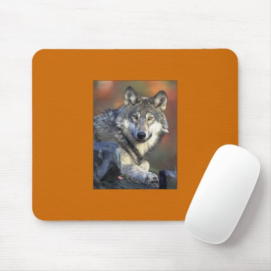 Gray Wolf Mousepad Muismat (Met muis)