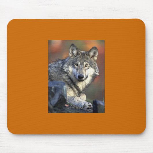 Gray Wolf Mousepad Muismat (Voorkant)