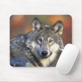 Gray Wolf Mousepad Muismat (Met muis)