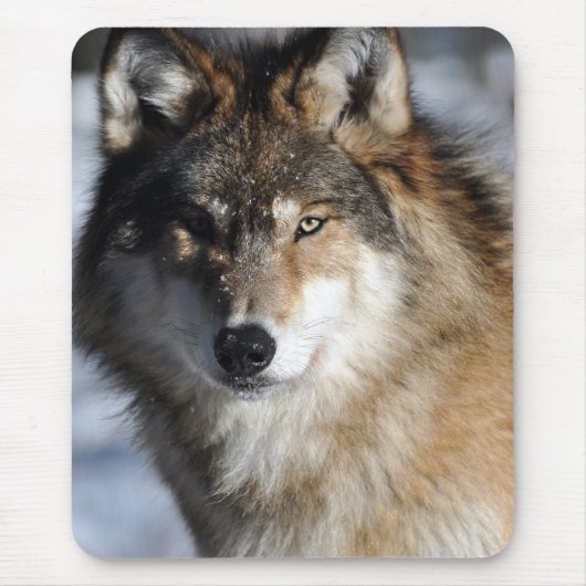 Gray Wolf Muismat (Voorkant)