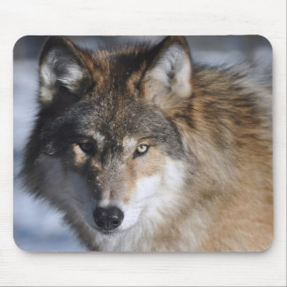 Gray Wolf Muismat