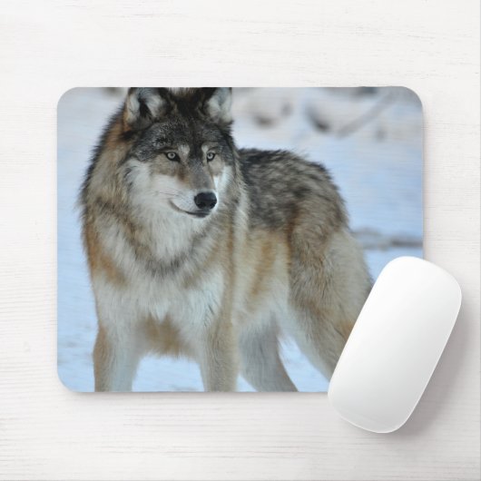 Gray Wolf Muismat (Met muis)