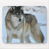 Gray Wolf Muismat (Voorkant)