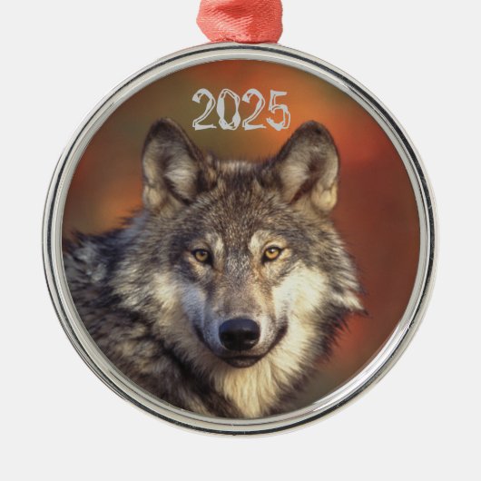 Gray Wolf Ornament (Voorkant)