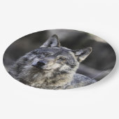 Gray Wolf Papieren Bordje (Gekanteld)