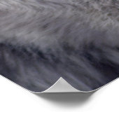 Gray Wolf Pose-168 Poster (Hoek)