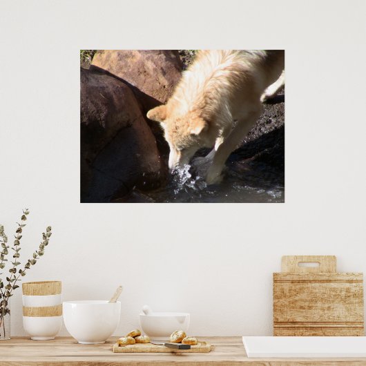 Gray Wolf Poster (Keuken)