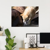 Gray Wolf Poster (Thuiskantoor)