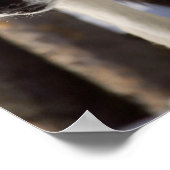 Gray Wolf Poster (Hoek)