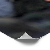 Gray Wolf Poster (Hoek)