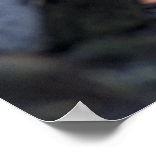 Gray Wolf Poster (Hoek)