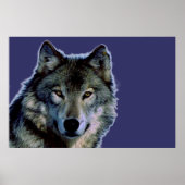 Gray Wolf Poster (Voorkant)