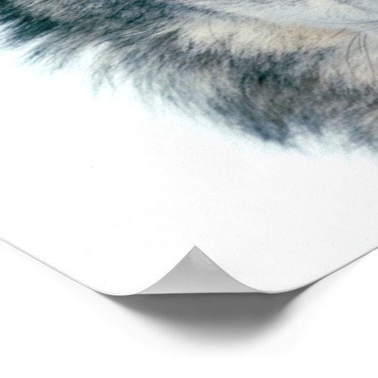 Gray Wolf Poster (Hoek)