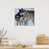 Gray Wolf Poster (Keuken)