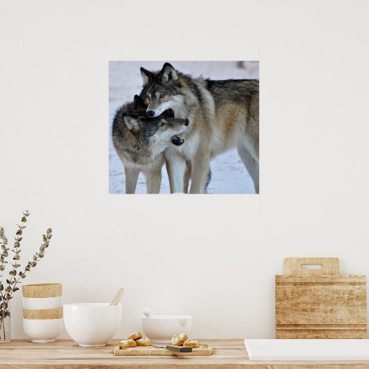 Gray Wolf Poster (Keuken)