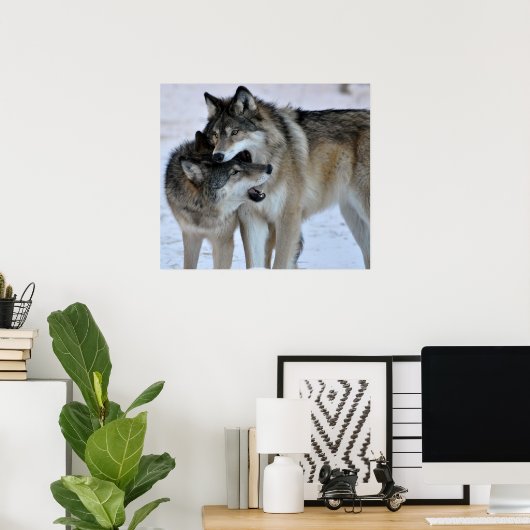 Gray Wolf Poster (Thuiskantoor)