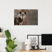 Gray Wolf Poster (Thuiskantoor)