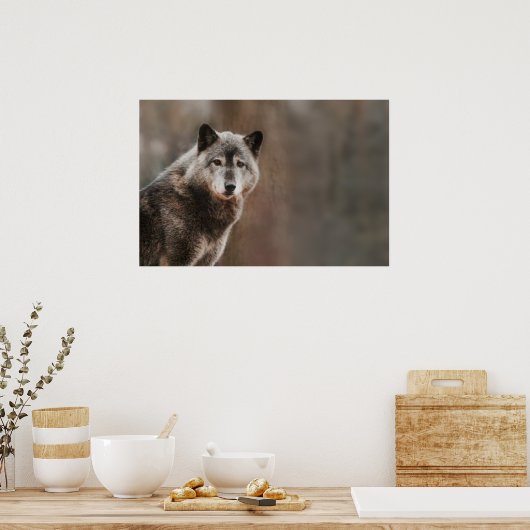 Gray Wolf Poster (Keuken)