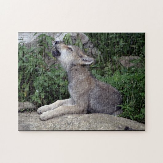 Gray Wolf Pup Wild Animal Puzzle Legpuzzel (Horizontaal)