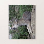 Gray Wolf Pup Wild Animal Puzzle Legpuzzel (Verticaal)