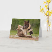 Gray Wolf Pups Wresting Kaart (Gele Bloem)