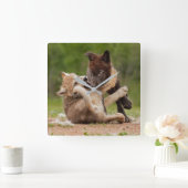 Gray Wolf Pups Wresting Vierkante Klok (Huis)