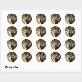 Gray Wolf Ronde Sticker (Vel)