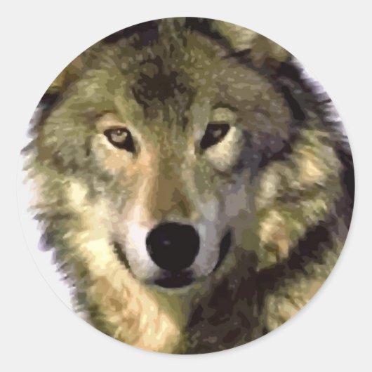 Gray Wolf Ronde Sticker (Voorkant)