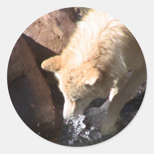 Gray Wolf Ronde Sticker (Voorkant)