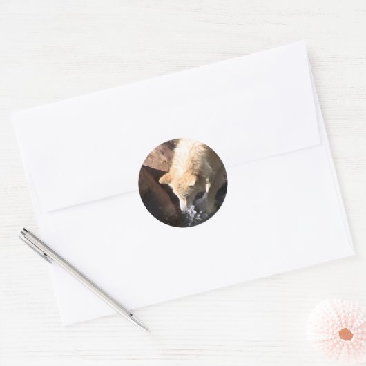 Gray Wolf Ronde Sticker (Envelop)