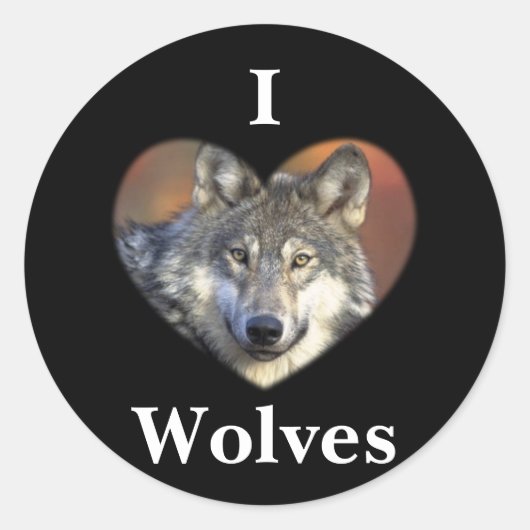 Gray Wolf Ronde Sticker (Voorkant)