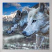 Gray Wolf SENTINELS Poster (Voorkant)