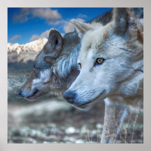 Gray Wolf SENTINELS Poster (Voorkant)