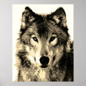 Gray Wolf  Sepia Poster (Voorkant)