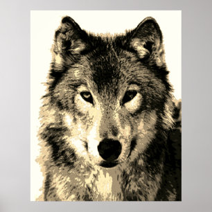 Gray Wolf  Sepia Poster