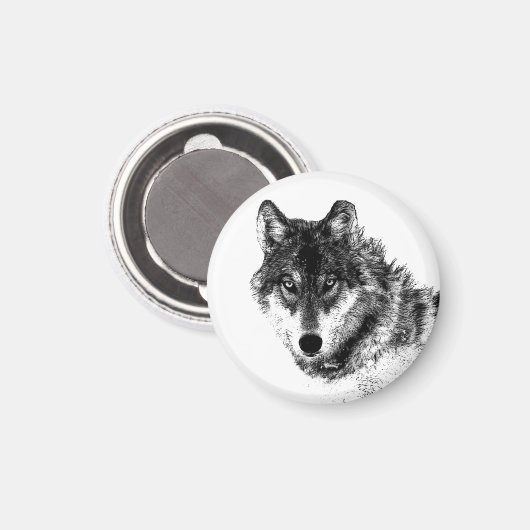 Gray Wolf Sketch Artwork Magneet (Voorkant / Achterkant)