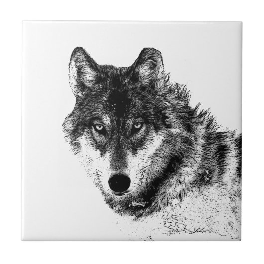 Gray Wolf Sketch Artwork Tegeltje (Voorkant)