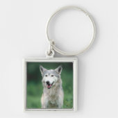 Gray Wolf Sleutelhanger (Voorkant)